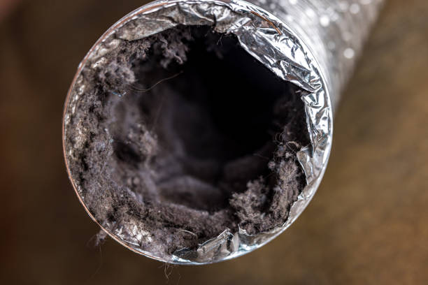 Best Local Air Duct Cleaning Services  in Rosemount, OH